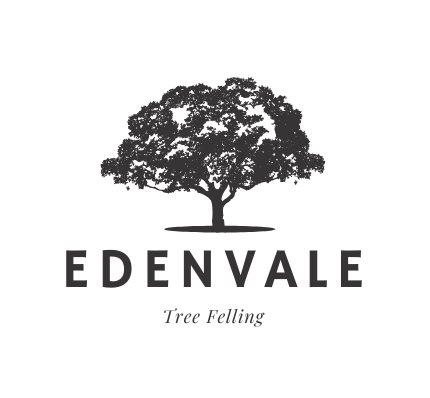 Edevnvale Tree Felling